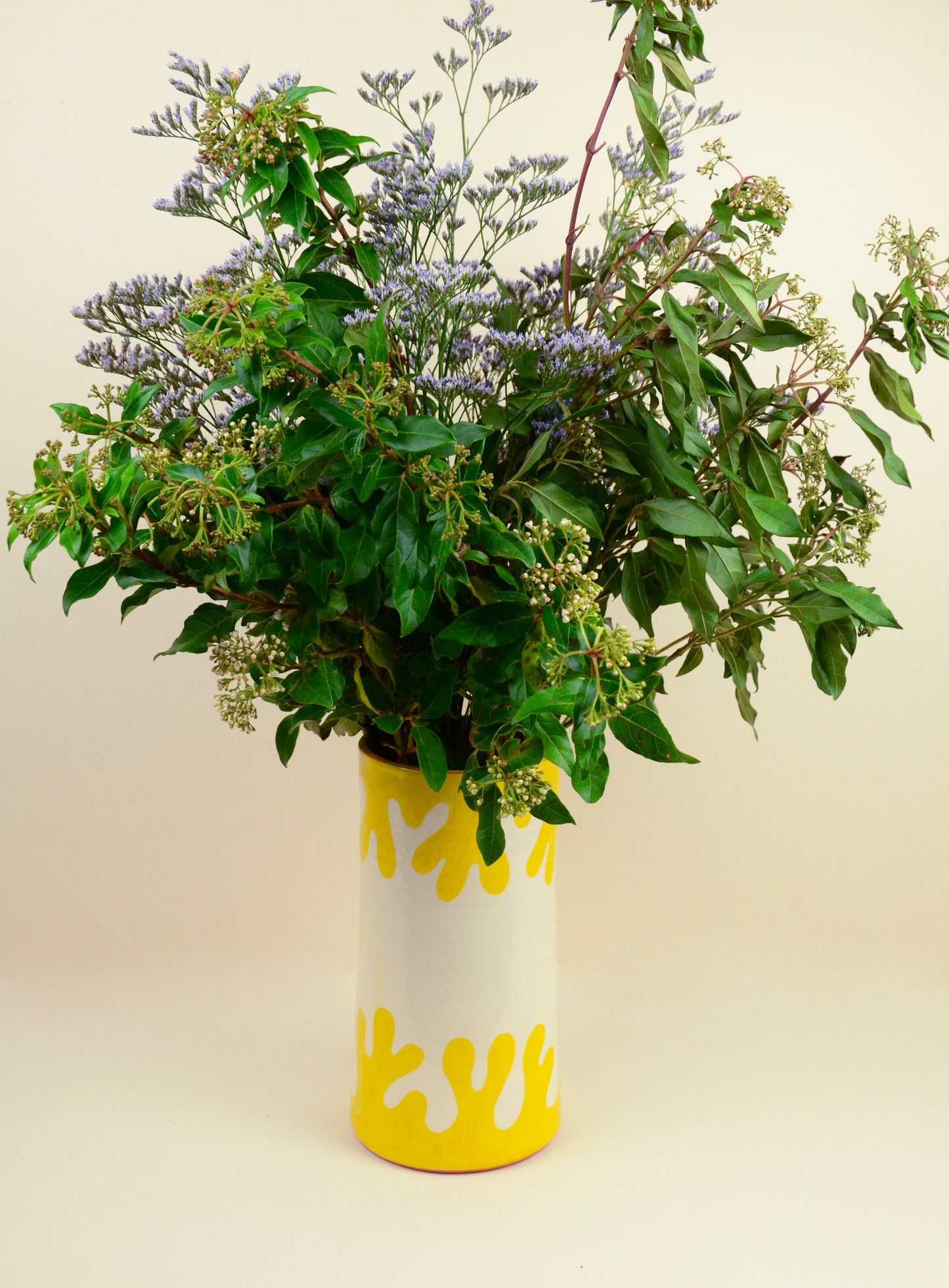 Vase tube - CINERARIA bordure