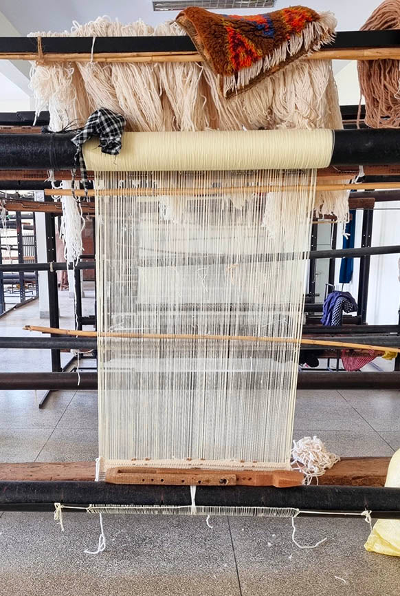 Tapis Cinéraria